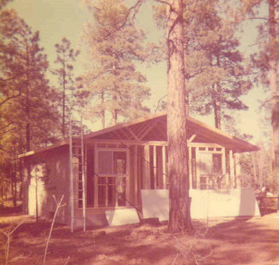 Adair Springs Cabin Villa Pinetop-Lakeside Exterior photo